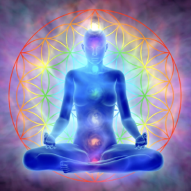 Harmonisierung des Körpers